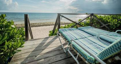 Flipper'S Haven: Tropical Retreat