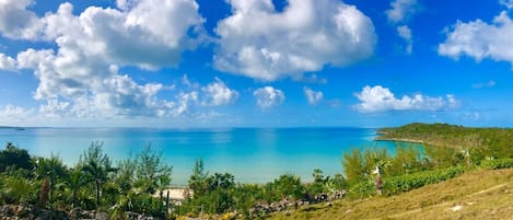 A coastal landscape with a clear sky, a beach, and lush greenery.