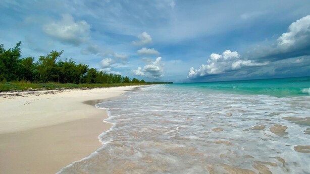 Ein Strand mit klarem türkisblauem Wasser, einem Sandufer und einer Baumreihe im Hintergrund.