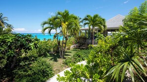 Un jardin luxuriant, avec des palmiers et une vue sur l’océan.