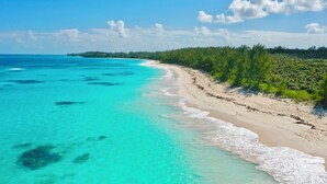 A beach with clear turquoise waters, a sandy shore, and a forested area in the background. - Wild Orchid Hideaway: Lux Beachfront Sanctuary (Governor's Harbour)