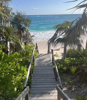 Un sendero de madera que lleva a una playa con palmeras y vistas al océano.
