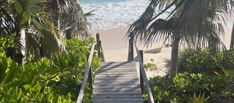 럭셔리 빌라: 개인 해변가 탈출