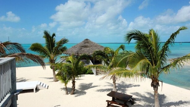 A beach with white sand, palm trees, and a thatched-roof hut. - Seaside Escape: Private Beachfront Villa With Infinity Pool (Rock Sound)