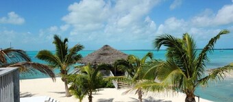 Seaside Escape: Private Beachfront Villa With Infinity Pool