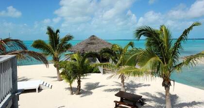 Seaside Escape: Private Beachfront Villa With Infinity Pool