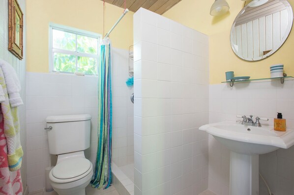 A bathroom with a toilet, shower, sink, and a window. - Oceanfront Oasis: Contemporary Villa With Pool (North Palmetto Point)