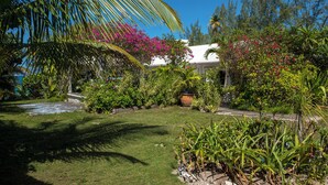 Aerial view - Pink Sands Retreat: Beachfront Cottage With Views (North Palmetto Point)