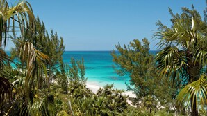 A beach with turquoise water, surrounded by dense tropical foliage. - Tropical Hideaway: Charming Cottage Near Pink Sands Beach (Rock Sound)