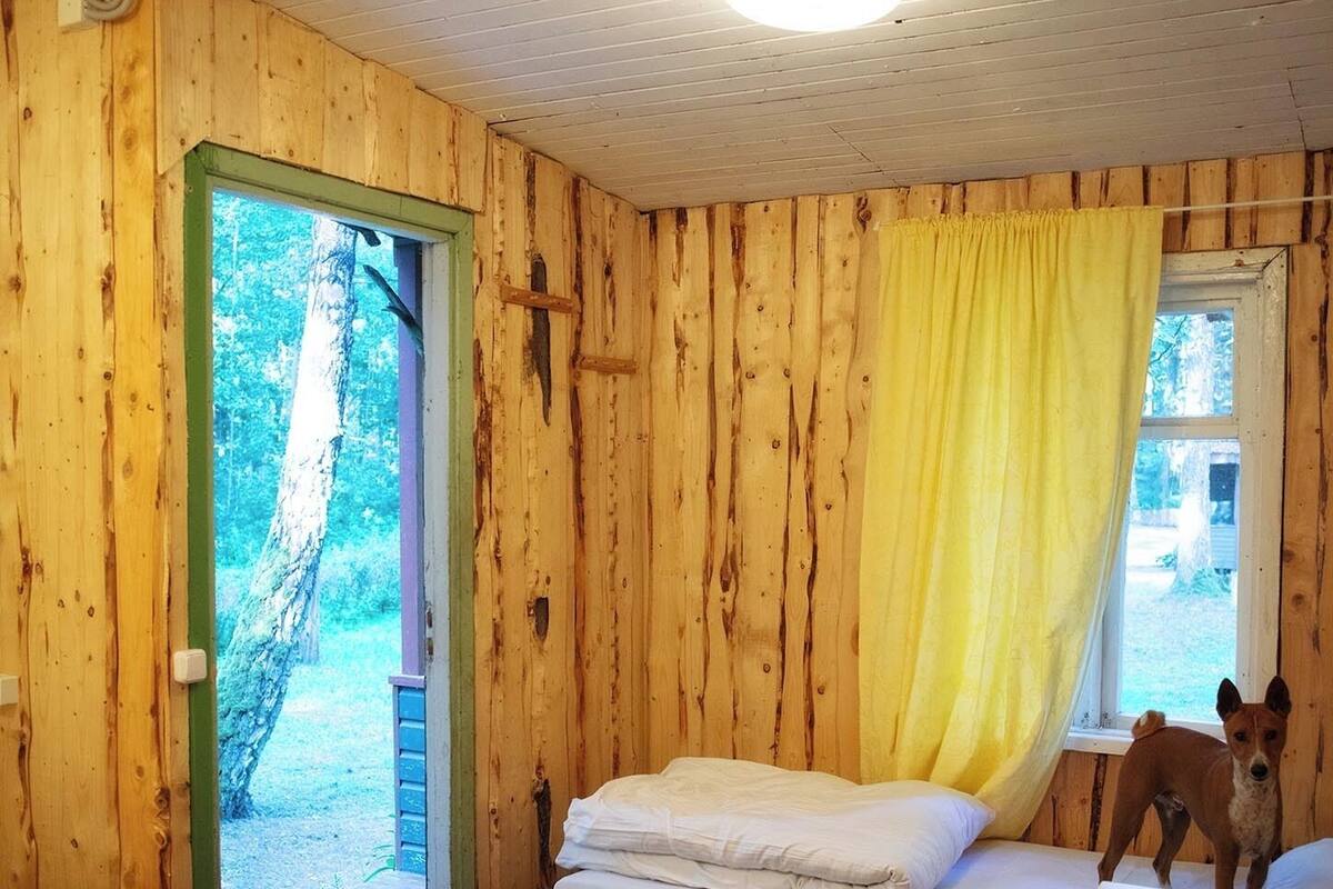 基本客房