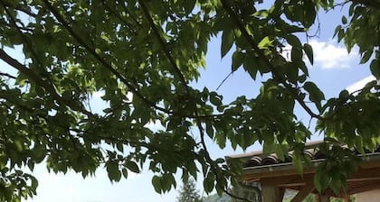 Le Cayre - ST MARTIN LABOUVAL