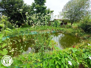 Escape to a serene garden oasis surrounded by lush greenery and a tranquil pond.