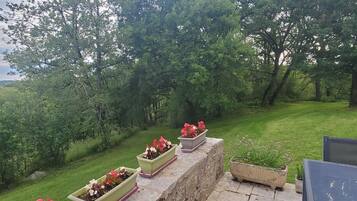 Área da propriedade