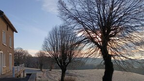Un paisaje rural con una casa, un sendero y un árbol en primer plano.