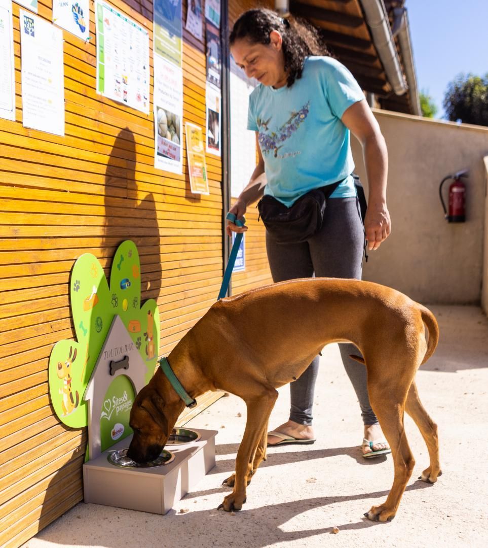 A person walking a dog near a wall with various signs and a green doghouse.