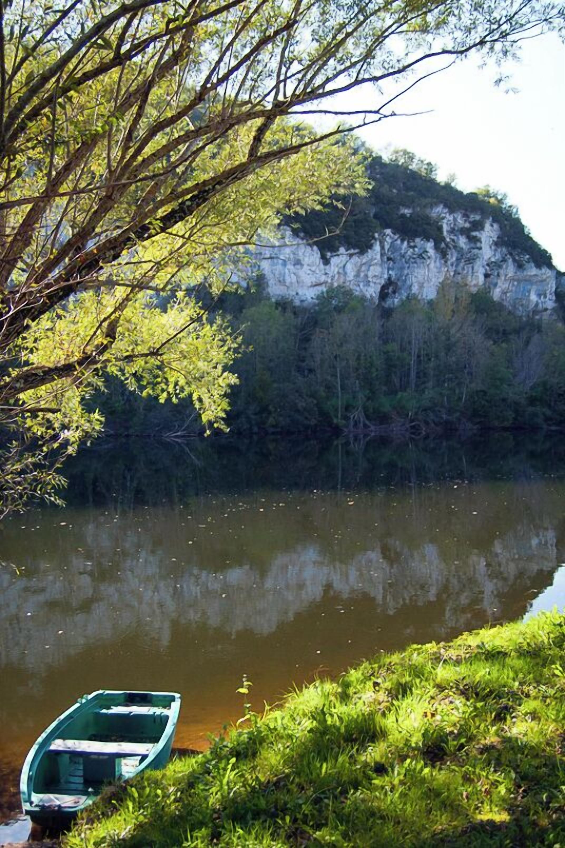 Un río tranquilo con una pequeña embarcación amarrada en la orilla cubierta de hierba, rodeado de abundante vegetación y un acantilado al fondo.