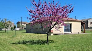 A house with a small garden and a tree with pink flowers. - Gîtes de France® - Le TRUFFADOU (SAUZET)