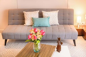 Fernseher, Arbeitsbereiche