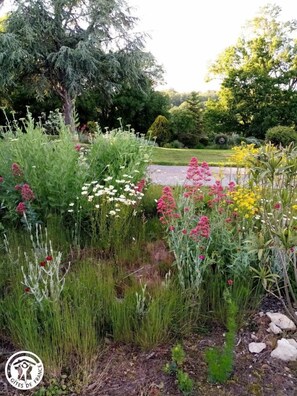 Property grounds - Les deux tilleuls - BELAYE (BELAYE)