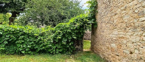Terrain de lâhĂ©bergement