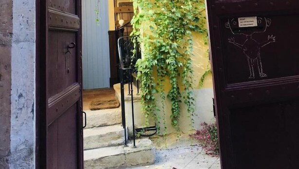 An open wooden door leading to a staircase with a yellow wall and green vines.