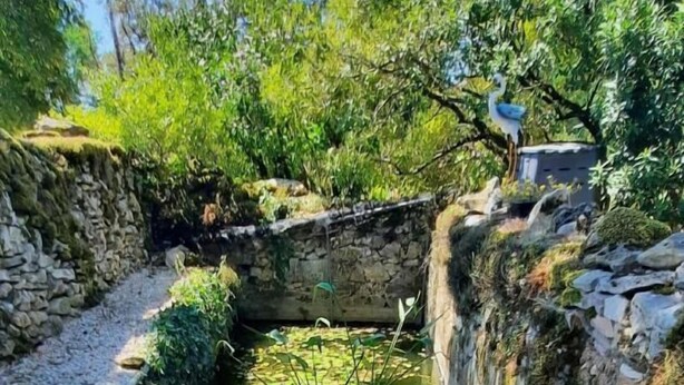 Um elemento decorativo com água, com lago revestido em pedra, rodeado por vegetação e um muro de pedra.