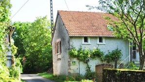 Une étroite route de campagne bordée d’une végétation luxuriante et d’un mur de pierres.