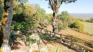 A wooden fence, a tree, and a stone path in a natural setting.