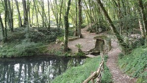 Un área boscosa con un sendero estrecho que conduce a una estructura de piedra cerca del agua.
