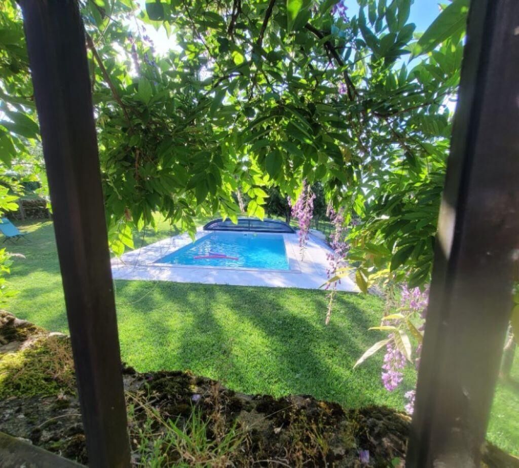 A backyard with a swimming pool surrounded by lush greenery and a well-maintained lawn.