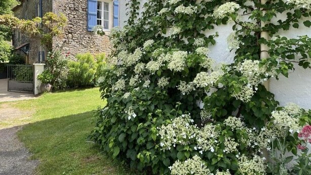 Un bâtiment en pierre avec un mur blanc et un jardin où poussent des plantes à fleurs blanches.