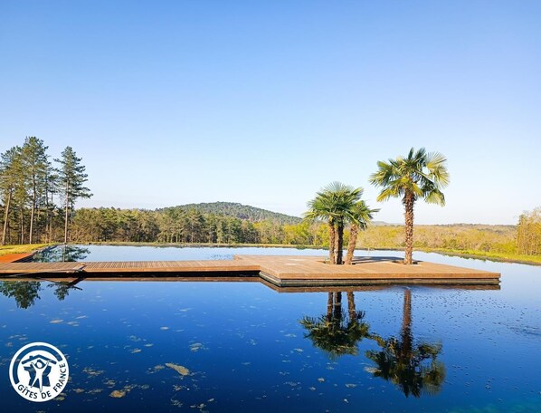 A serene outdoor swimming pool with a wooden deck, surrounded by trees and palm trees, reflecting the clear sky.