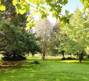 A park with a large tree and a grassy area.