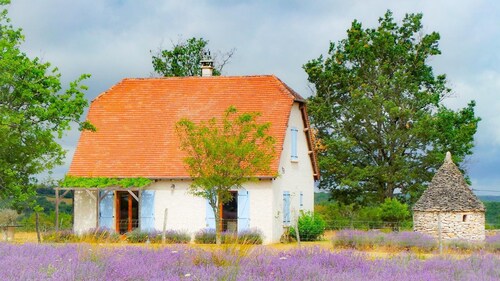 Gite 46G12239 - ROCAMADOUR