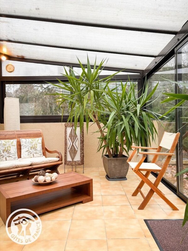 A modern interior with a wooden sofa, a large potted plant, and a folding chair.