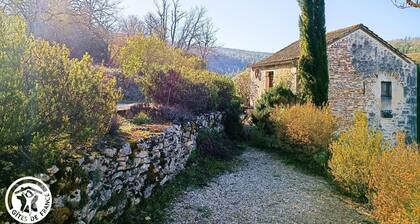 Les Terrasses des Fargues