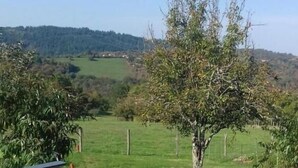 A view of a countryside landscape with a tree in the foreground, a grassy field, and a distant forest. - Gîtes de France® - 46G12361 (VIAZAC)