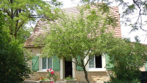 Una casa de piedra con tejado de tejas, contraventanas verdes y un pequeño jardín con un árbol y plantas en macetas.