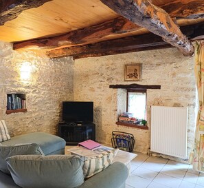 Une pièce rustique aux murs de pierre, avec un canapé, un téléviseur et un radiateur.