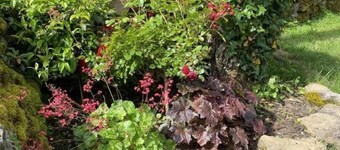 La Bocagère - THEGRA - Gîte