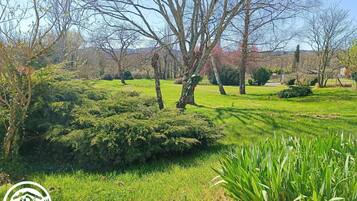 Parco della struttura