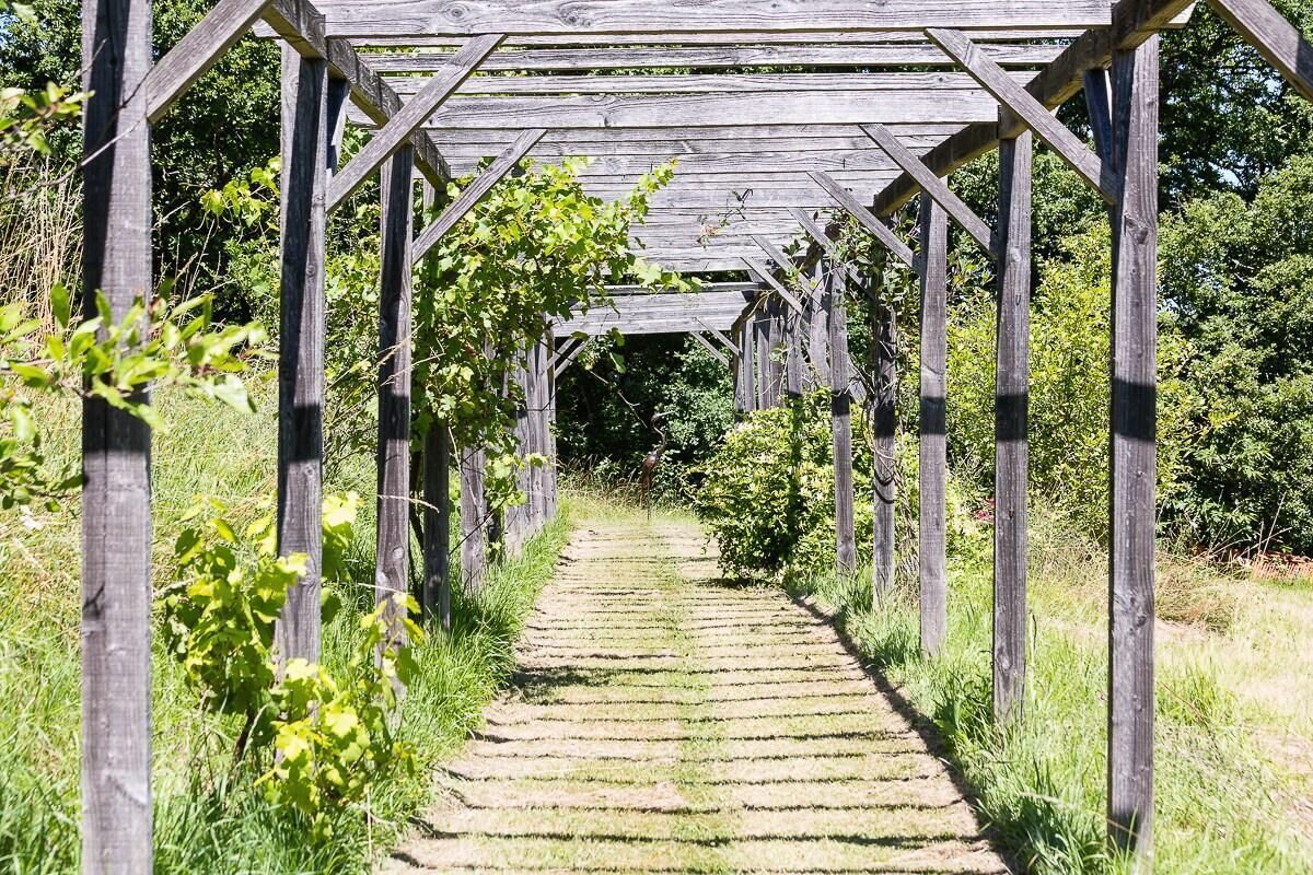 A wooden pergola structure with a pathway leading through it.