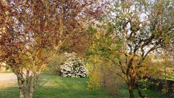 Jardines del alojamiento