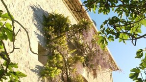 Ein Gebäude mit einer Stein-Fassade, einem Balkon mit Geländer und einem Baum mit grünen Blättern.