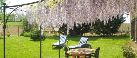 Opções para refeição ao ar livre