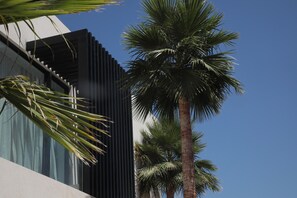 Detalle del exterior