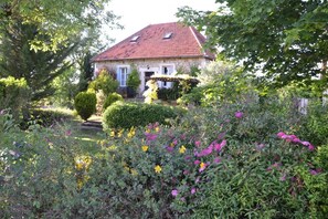 Eksteriør