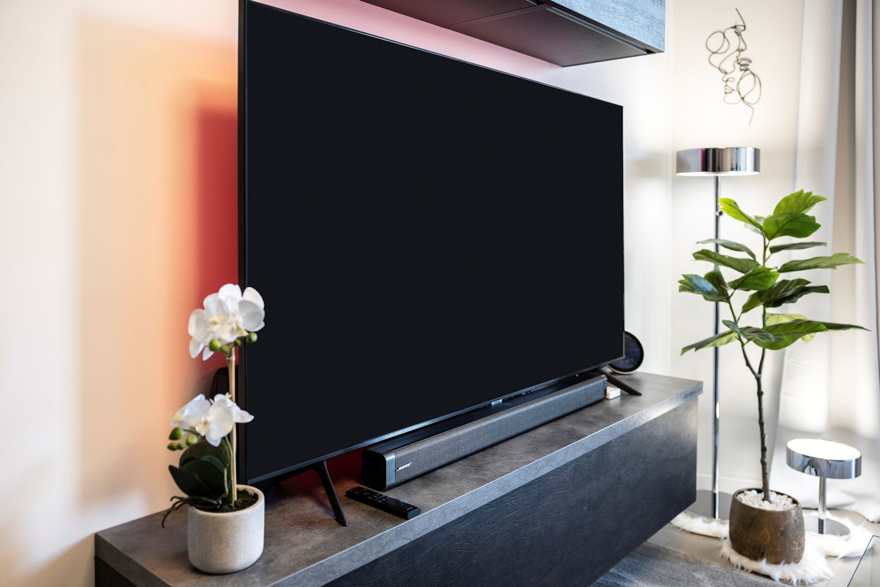 Un salón moderno con un televisor de pantalla plana montado sobre un mueble bajo oscuro, una orquídea en maceta y una planta alta junto a una lámpara de pie.
