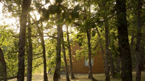 Una cabaña de madera rodeada de altos árboles en un bosque.