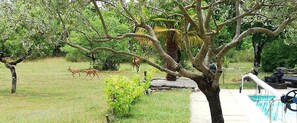Alberca climatizada 